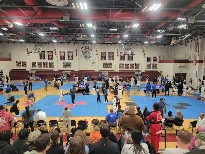 Partners TaeKwon-do Picture 4