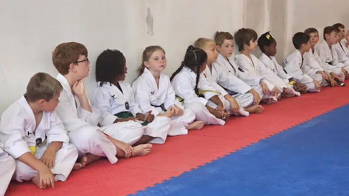 Partners TaeKwon-do Picture 2