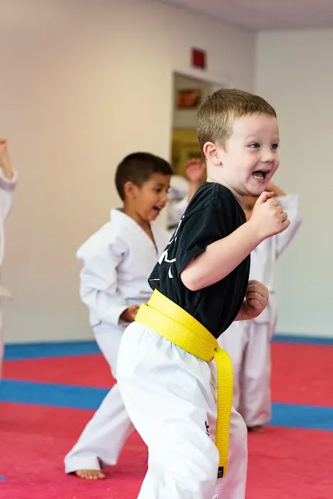 Partners TaeKwon-do Picture 6