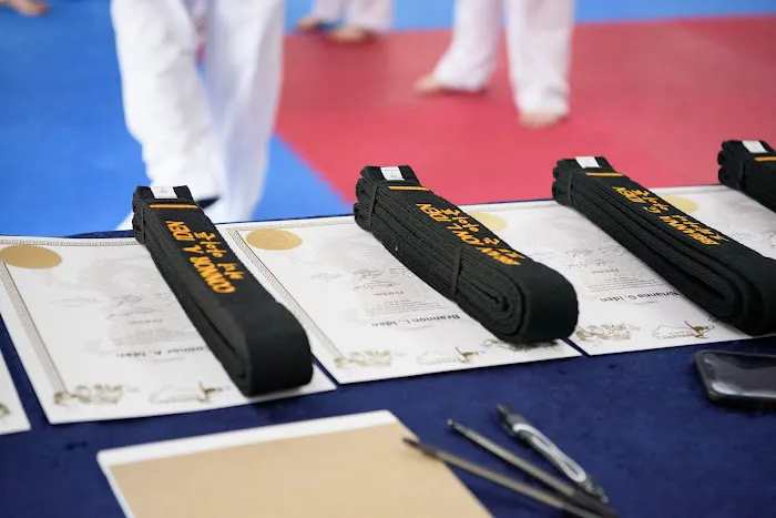 Partners TaeKwon-do Picture 8