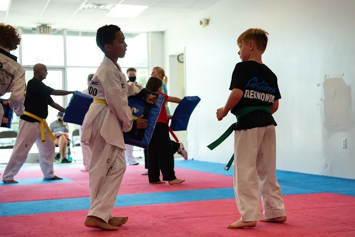 Partners TaeKwon-do Picture 7