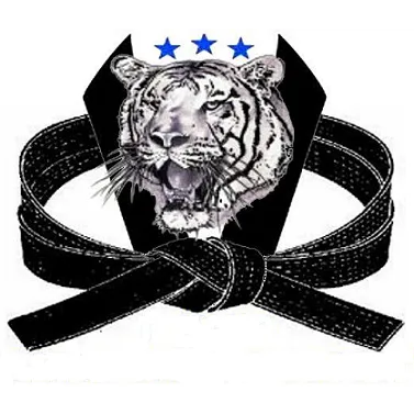 J Tiger Tae Kwon Do Picture 4