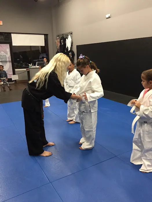 Vinjos Martial Arts Picture 5