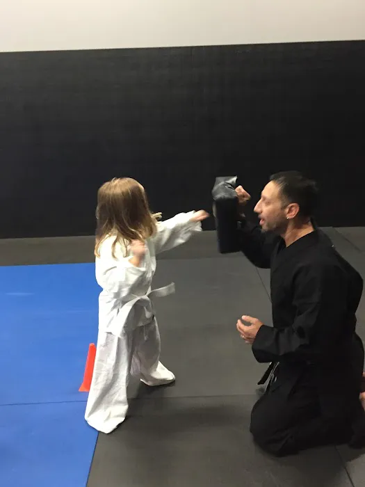 Vinjos Martial Arts Picture 2