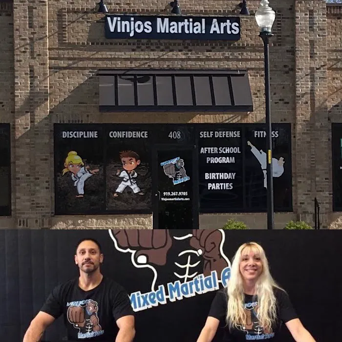 Vinjos Martial Arts Picture 4