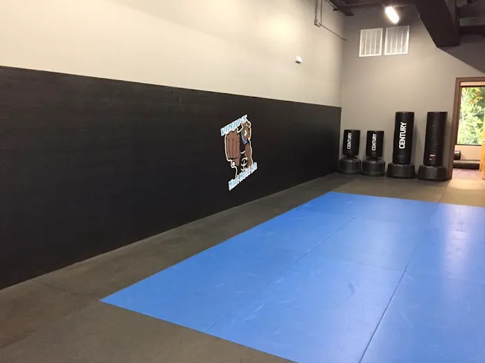 Vinjos Martial Arts Picture 9