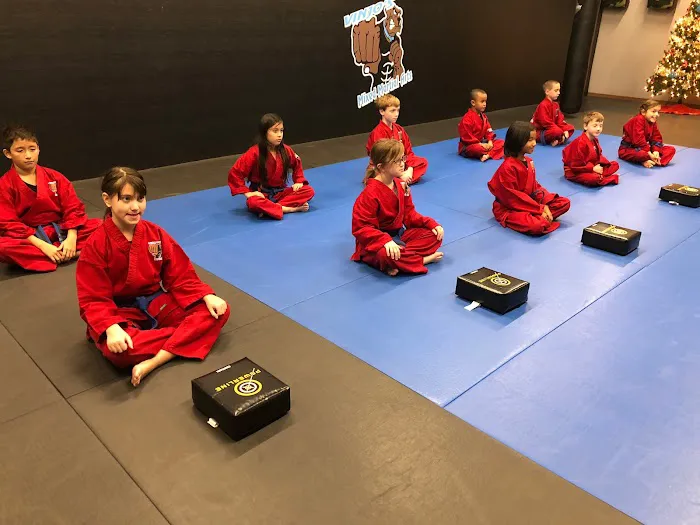 Vinjos Martial Arts Picture 8