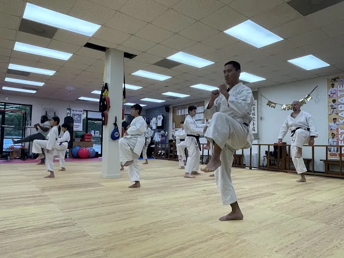 Triangle's Best Karate Picture 2