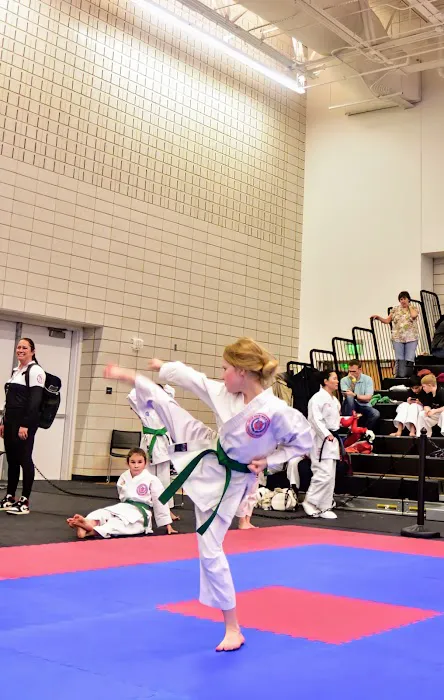 Triangle's Best Karate Picture 3