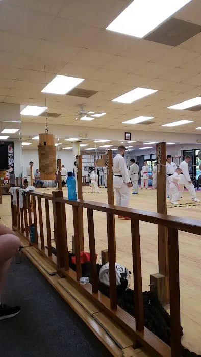 Triangle's Best Karate Picture 1