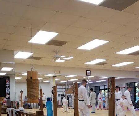 Triangle's Best Karate
