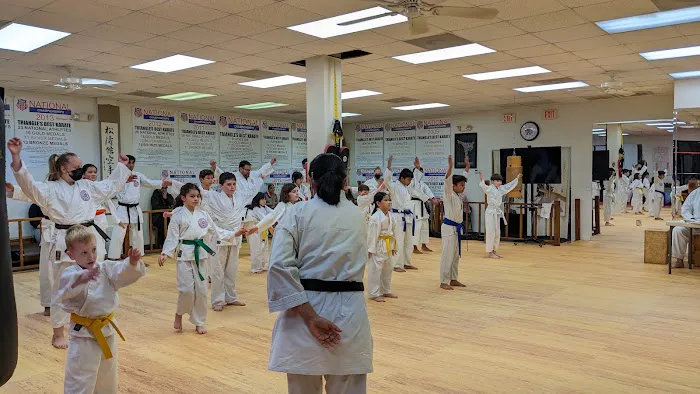 Triangle's Best Karate Picture 9