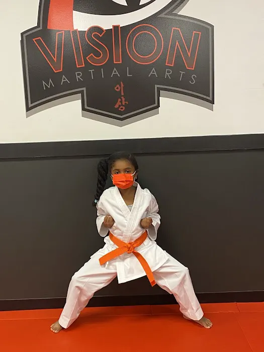 Vision Martial Arts Picture 3