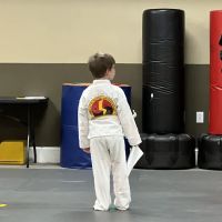 Innovative Martial Arts Academy ico