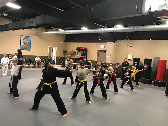 Innovative Martial Arts Academy Picture 3