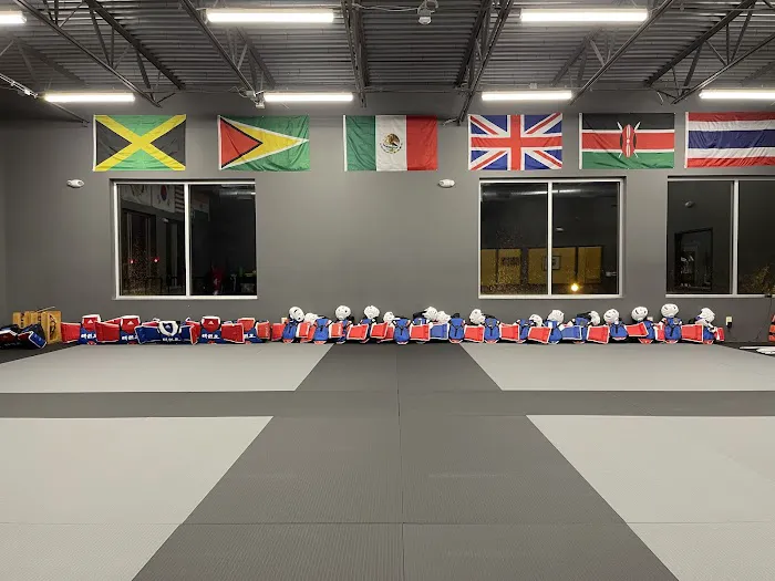 CORE Taekwondo Performance Center Picture 3