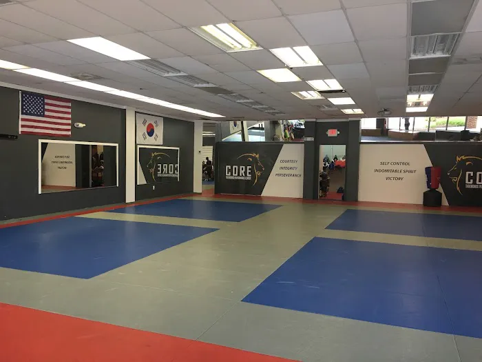 CORE Taekwondo Performance Center Picture 5