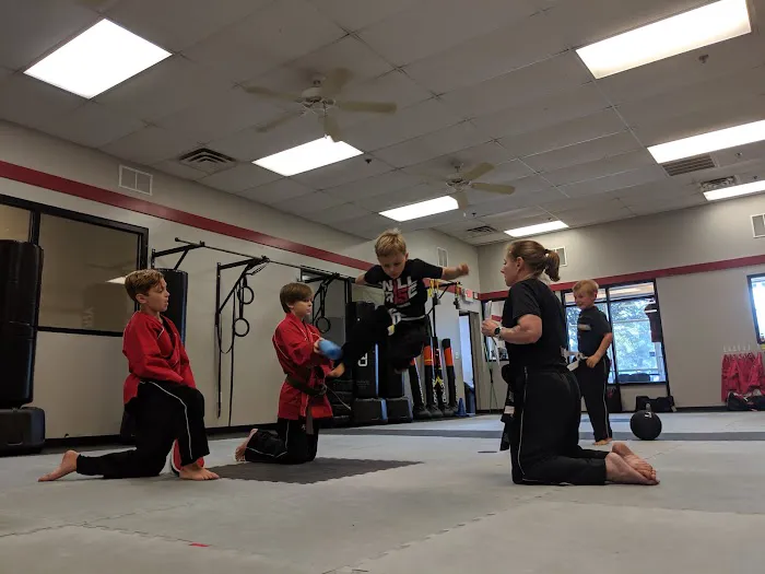 Tiger Rock Martial Arts Picture 3