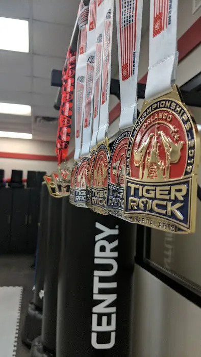 Tiger Rock Martial Arts Picture 5