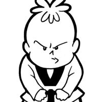 Mountain Kim Tae Kwon Do ico