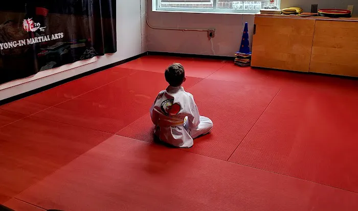 Kim's Yong-In Martial Arts Picture 2