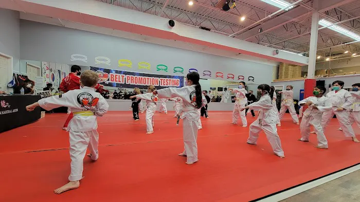 Kim's Yong-In Martial Arts Picture 1