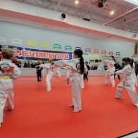 Kim's Yong-In Martial Arts ico