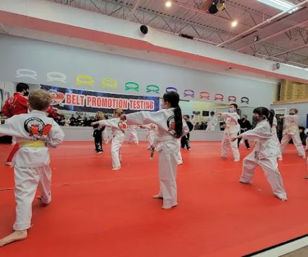 Kim's Yong-In Martial Arts
