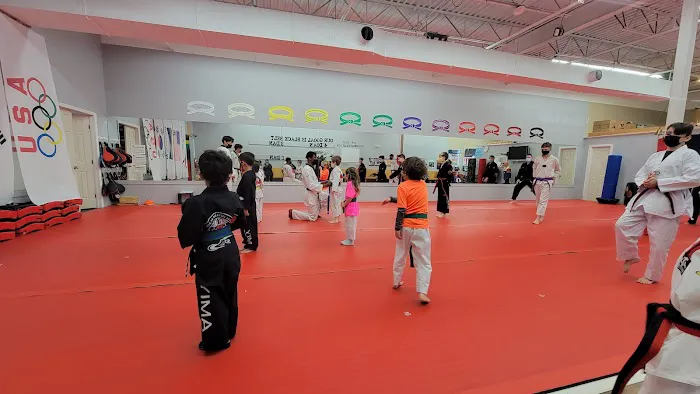 Kim's Yong-In Martial Arts Picture 7