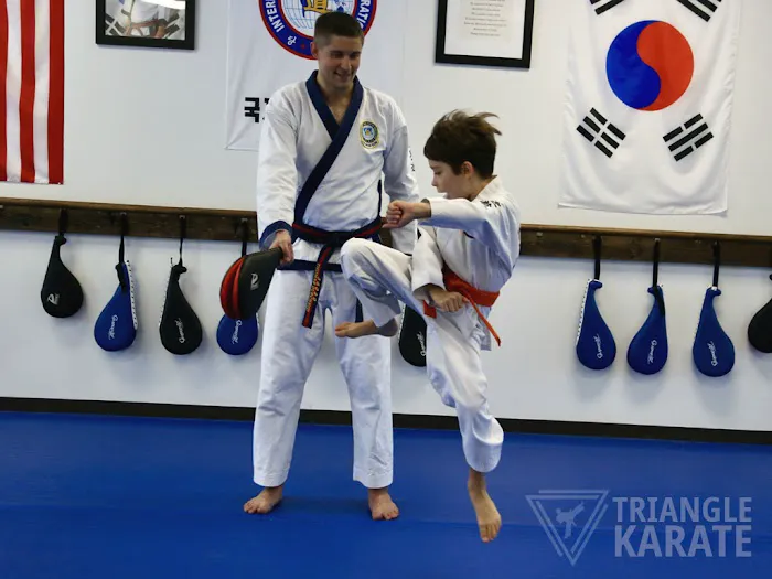 Triangle Karate Picture 5