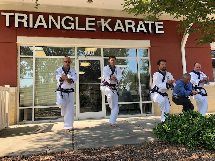 Triangle Karate Picture 1