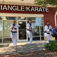 Triangle Karate ico