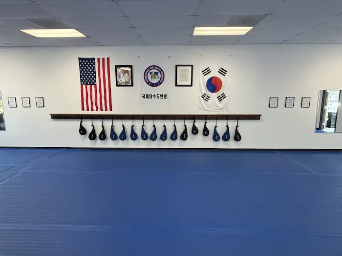 Triangle Karate Picture 2