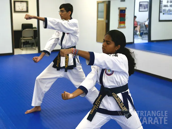 Triangle Karate Picture 8
