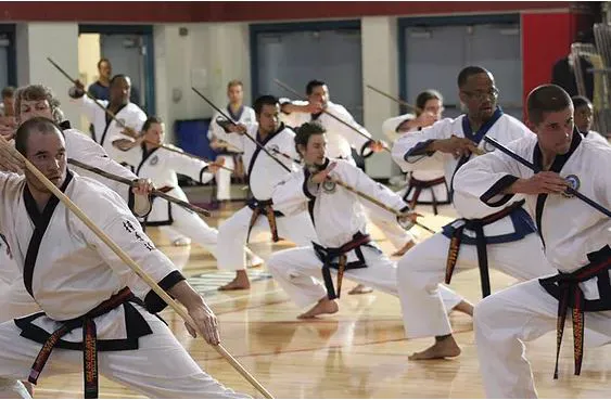 Triangle Karate Picture 9