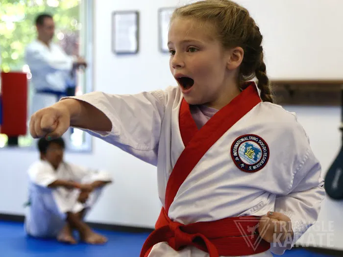Triangle Karate Picture 10