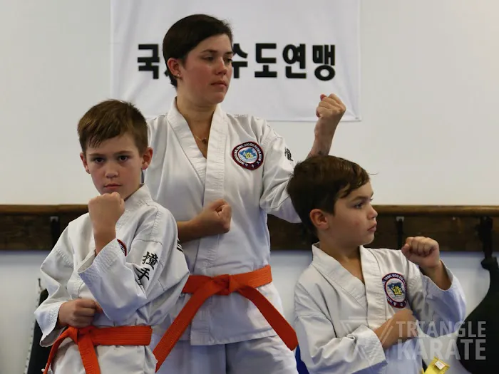 Triangle Karate Picture 6
