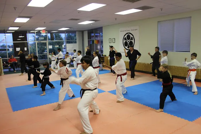 Ancient Arts Family Karate/Ju-Jitsu Academy Picture 6