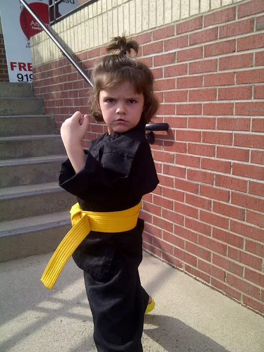 Ancient Arts Family Karate/Ju-Jitsu Academy Picture 8