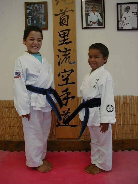 Ancient Arts Family Karate/Ju-Jitsu Academy Picture 9