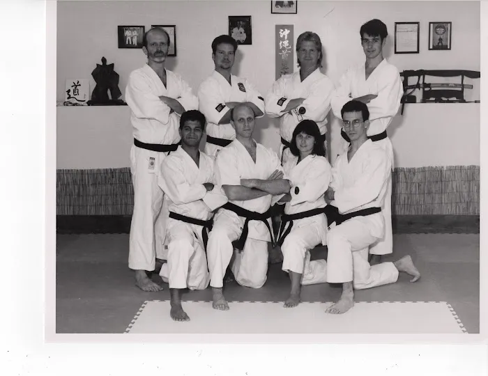 Ancient Arts Family Karate/Ju-Jitsu Academy Picture 7