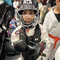 Vision Martial Arts ico