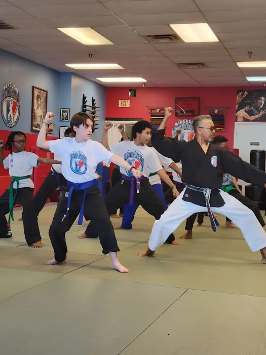 Vanguard Karate Picture 7