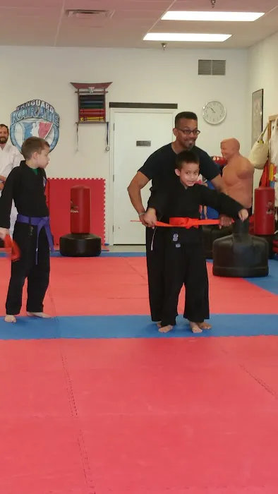 Vanguard Karate Picture 8