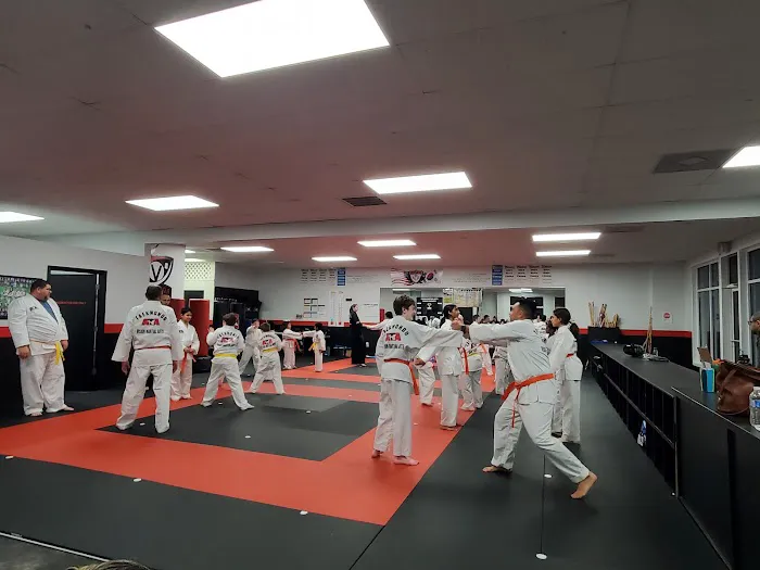 Vision Martial Arts Picture 2