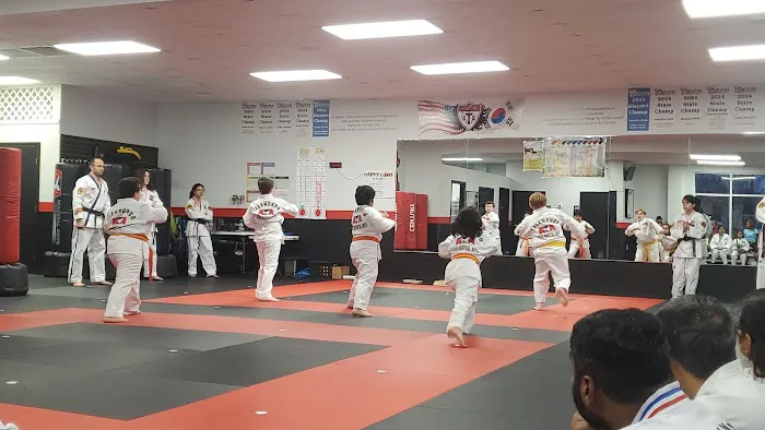 Vision Martial Arts Picture 3