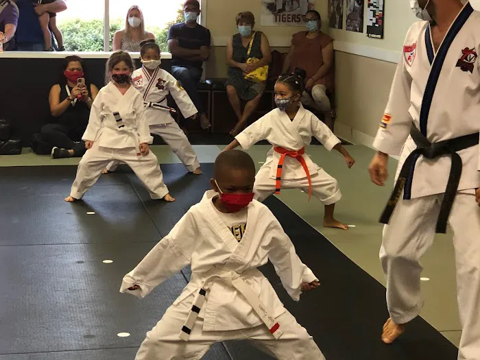 Vision Martial Arts Picture 4