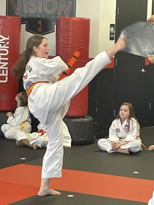 Vision Martial Arts Picture 5