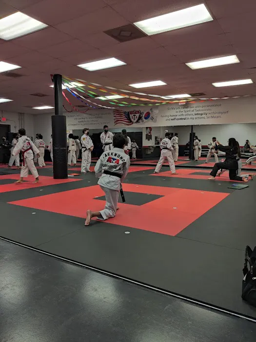 Vision Martial Arts Picture 8