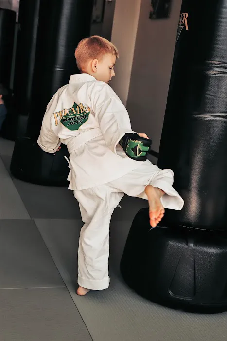 Premier Martial Arts West Cary Picture 2